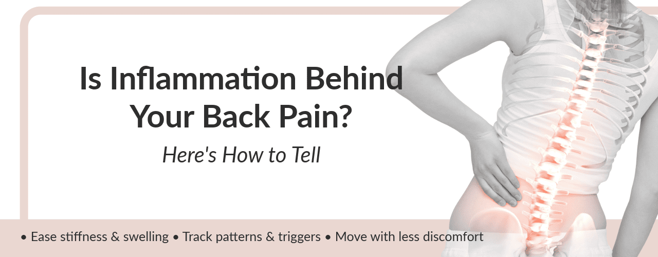 back-pain-inflammation-graphic